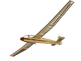 wassmer-wa-30-bijave-modelede-planeur-d_avionavoile-flugzeugmodell-pureplanes