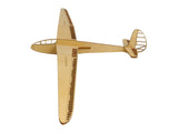 DFS Reiher 3 Deko Flugzeugmodell Bausatz | Pure Planes
