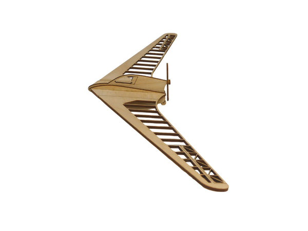 HortenMicrolight-leichtflugzeug-modell-pureplanes