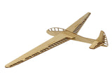 SZD -9 Bocian Segelflugzeug Modell zur Deko auf einem Ständer aus Holz