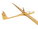 Holzmodell eines Alexander Schleicher ASH 30 Segelflugzeuges von Pure Planes