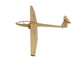 DG 100 Deko Flugzeugmodell Bausatz | Pure Planes
