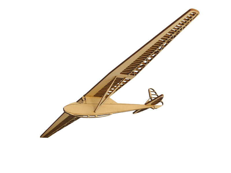 Oldtimer Segelflugzeug Modell von Alexander Lippisch